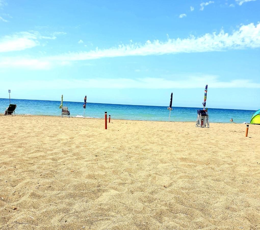 Lupo Di Mare *